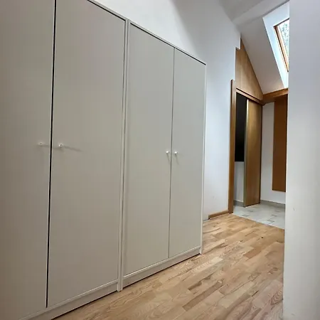 Séjour chez l'habitant Collie